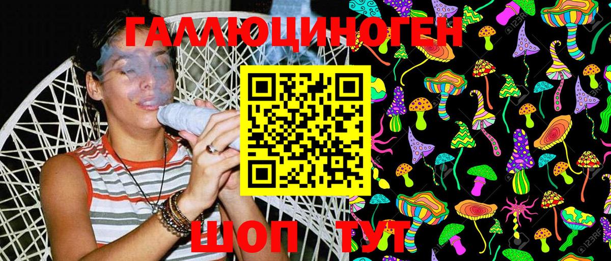 Псилоцибиновые грибы Magic Shrooms  закладки  Галлюциногенные грибы Magic Shrooms  Майкоп  Вход с VPN 